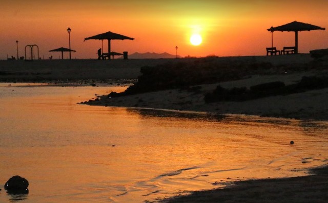 1581382468 346 Top 5 activities when visiting Al Khor Beach Qatar - Top 5 activities when visiting Al Khor Beach Qatar