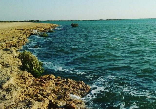 1581382468 978 Top 5 activities when visiting Al Khor Beach Qatar - Top 5 activities when visiting Al Khor Beach Qatar