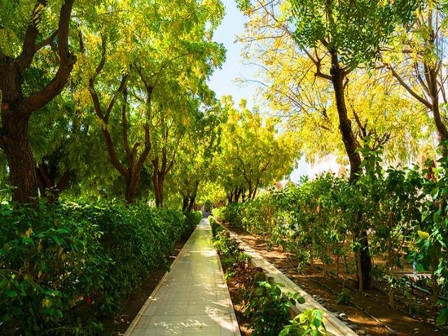 Gardens in Muscat