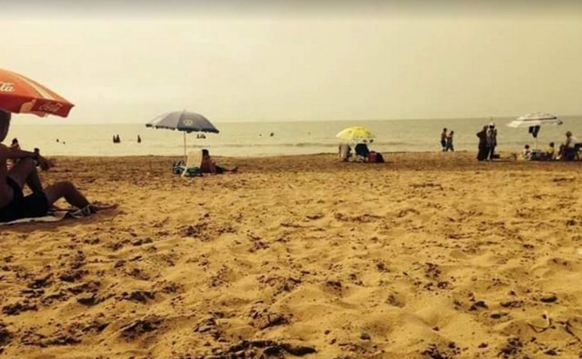 Beaches in Algiers