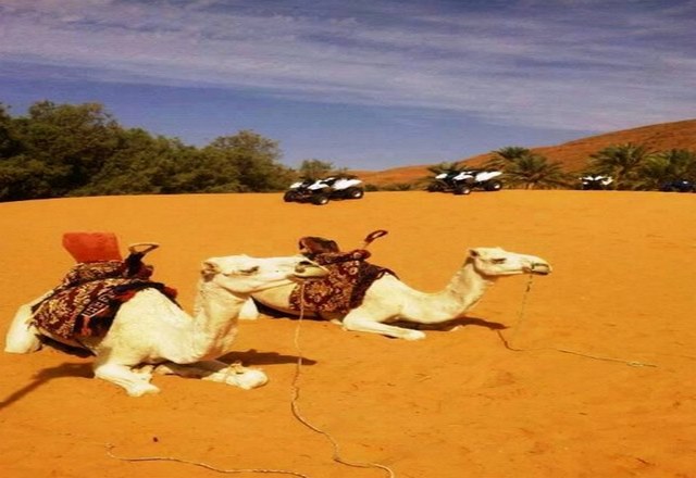 Tourism in Ghardaia