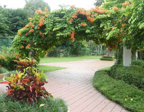 1581386038 714 Top 8 activities in Penang Botanical Gardens - Top 8 activities in Penang Botanical Gardens