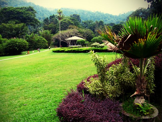 1581386038 938 Top 8 activities in Penang Botanical Gardens - Top 8 activities in Penang Botanical Gardens