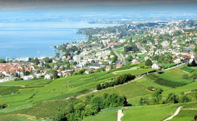 Swiss Montreux