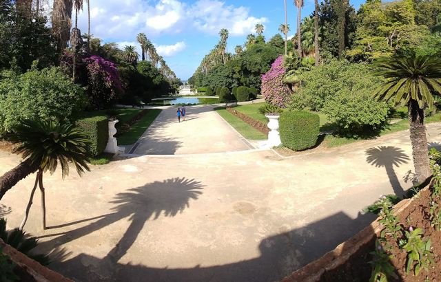 Algiers gardens
