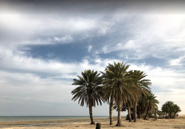 1581389708 11 The best 8 activities when visiting Al Aqeer Beach Al Ahsa - The best 8 activities when visiting Al Aqeer Beach, Al-Ahsa