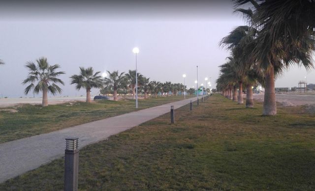 1581389708 643 The best 8 activities when visiting Al Aqeer Beach Al Ahsa - The best 8 activities when visiting Al Aqeer Beach, Al-Ahsa