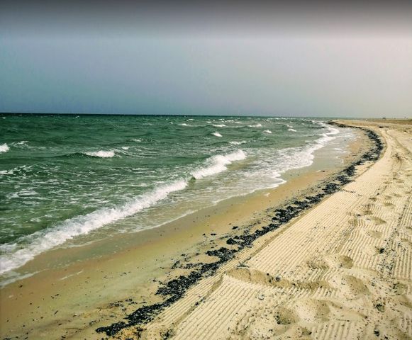 The best 8 activities when visiting Al Aqeer Beach, Al-Ahsa