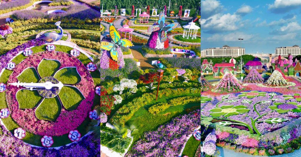 1581392268 81 Where is the flower garden located in Dubai - Where is the flower garden located in Dubai?