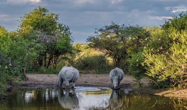 1581392388 979 The 5 best places to visit in Botswana are highly - The 5 best places to visit in Botswana are highly recommended