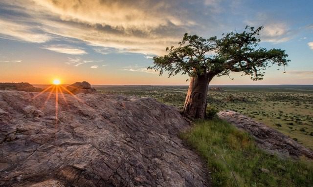 The 5 best places to visit in Botswana are highly recommended