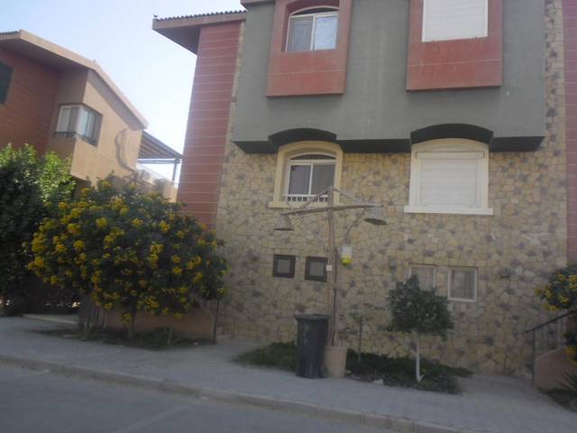1581394378 610 A report on Wadi Degla Ain Sokhna Valley - A report on Wadi Degla Ain Sokhna Valley