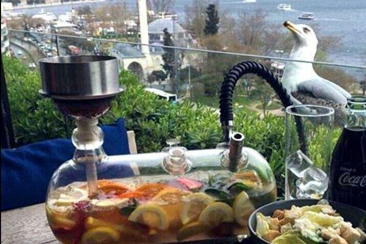 Shisha cafes in Istanbul