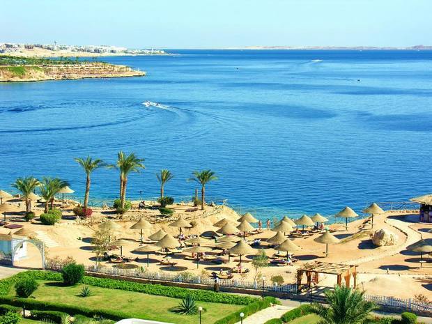 1581398679 95 The 6 best shark bay hotels in Sharm El Sheikh - The 6 best shark bay hotels in Sharm El Sheikh Recommended 2020