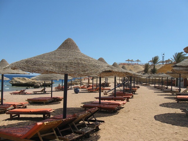 1581398698 560 Top 5 activities in Sharks Beach Sharm El Sheikh - Top 5 activities in Sharks Beach, Sharm El-Sheikh