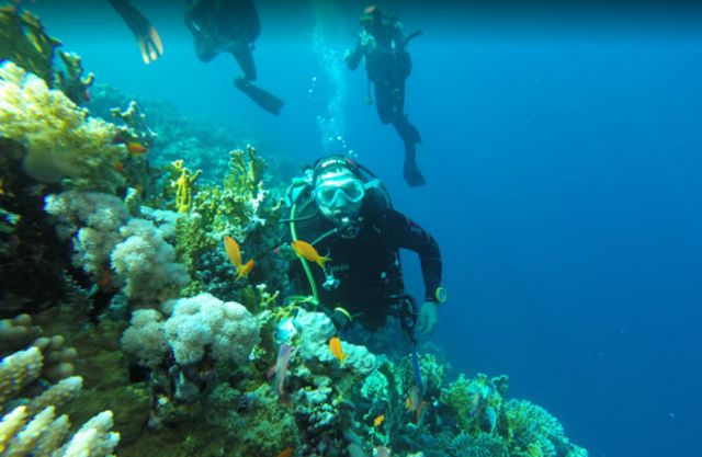 1581398899 632 The 6 best activities when visiting Nabq Sharm El Sheikh - The 6 best activities when visiting Nabq Sharm El Sheikh Reserve