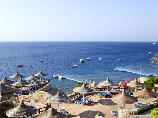 Shark Bay, Sharm El Sheikh