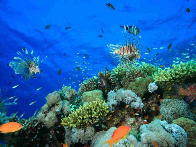 1581399898 489 The most beautiful places of Sharm el Sheikh that are worth - The most beautiful places of Sharm el-Sheikh that are worth a visit