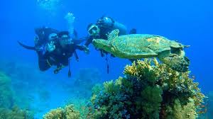 Diving centers in Sharm El Sheikh