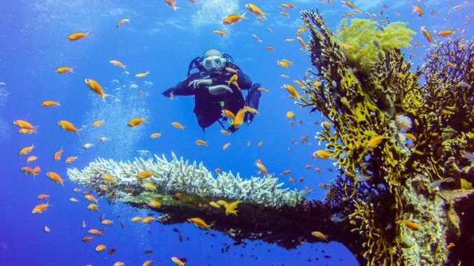 A detailed guide for the best diving centers in Sharm El Sheikh