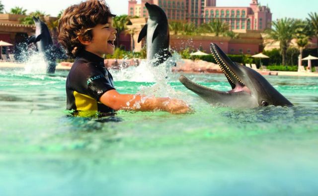 Dubai water hotel is characterized by the provision of water games accompanied by dolphins