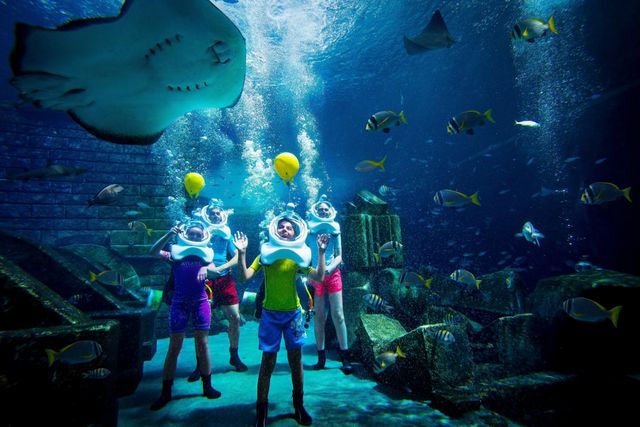 Atlantis Hotel Dubai offers an underwater room, water games, diving and swimming