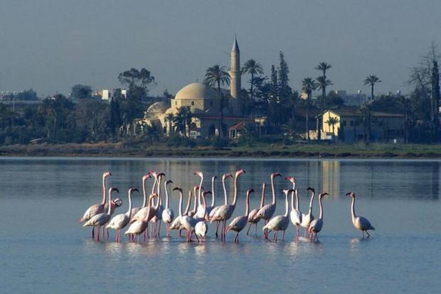 Salt Lake is one of the best tourist places in Larnaca Cyprus