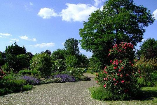 Dusseldorf Botanical Garden is one of the best tourist places in Dusseldorf