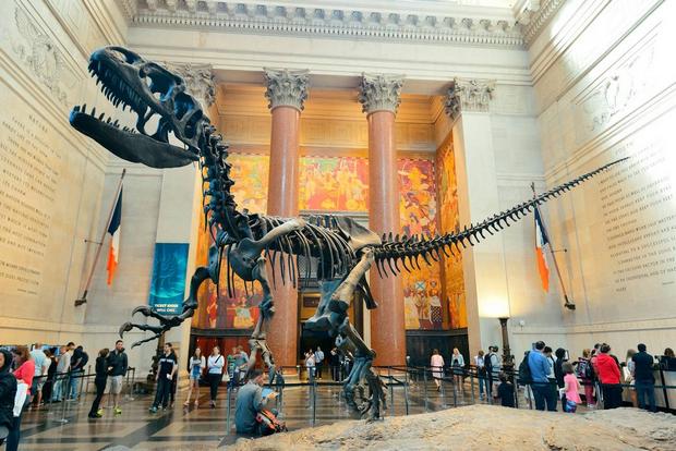 The American Museum of Natural History is one of the best attractions in New York