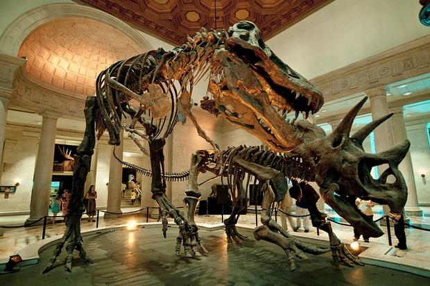 Natural History Museum in Los Angeles