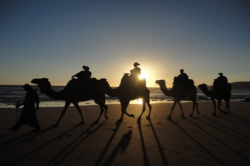     Horseback riding and beauty in Agadir is one of the most important tourist activities in Agadir, Morocco