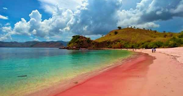 The pink beach in Lombok is one of the most important tourist attractions in Lombok