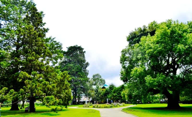 Victoria Park is one of the best tourist places in Noralia