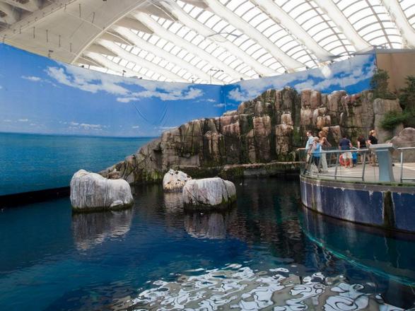 Montreal Biodome facility is one of the most important tourist attractions in Montreal