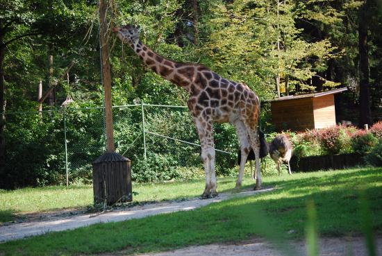 The Zoo in Ljubljana is one of the best parks in Ljubljana, Slovenia