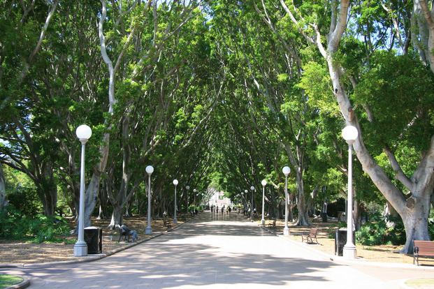 Hyde Park is one of the most beautiful parks in Sydney, Australia