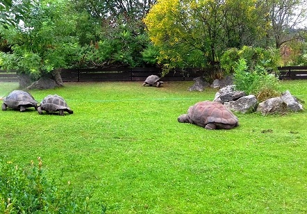 Pavilion turtle pavilion in Prague Zoo - Prague city photos
