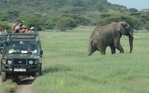 The cost of travel to Tanzania - tourism in Tanzania Selous Reserve