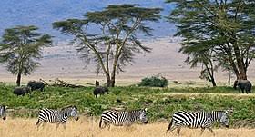 1581417209 771 Here are the most beautiful natural places in Tanzania - Here are the most beautiful natural places in Tanzania