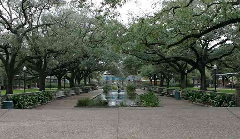 1581417339 659 The most beautiful tourist places in the American city of - The most beautiful tourist places in the American city of Houston