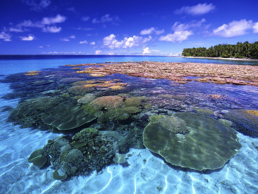 Learn about tourism in the Marshall Islands