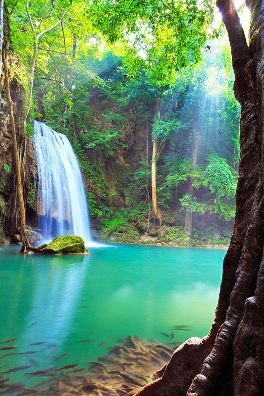 All you need to know about the Tannourine waterfall in Lebanon