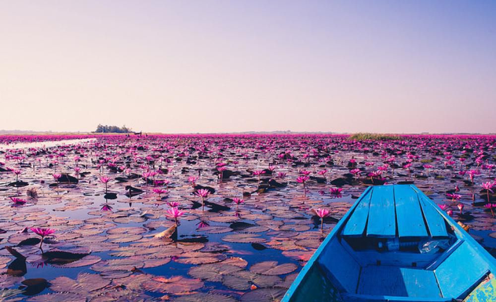 1581418289 498 All you need to know about Red Lotus Lake in - All you need to know about Red Lotus Lake in northeastern Thailand