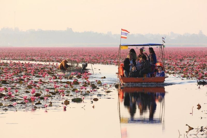 1581418289 500 All you need to know about Red Lotus Lake in - All you need to know about Red Lotus Lake in northeastern Thailand