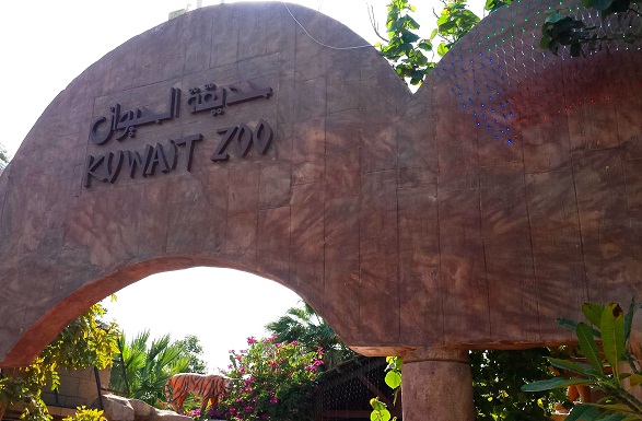 6 best activities in Kuwait Zoo - 6 best activities in Kuwait Zoo