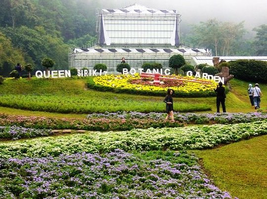 A scene of the 7 best activities at the Queen Sirikit Botanical Garden in Chiang Mai, Thailand