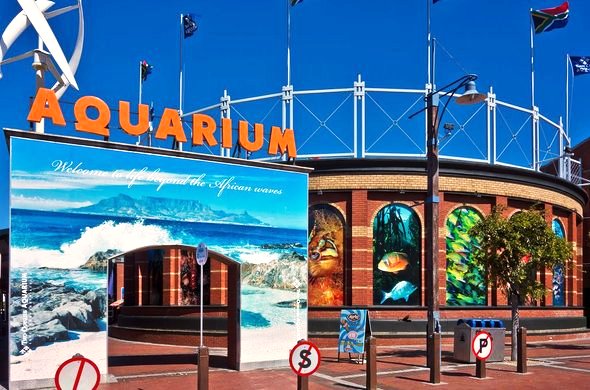 Surround Aquarium in Cape Town