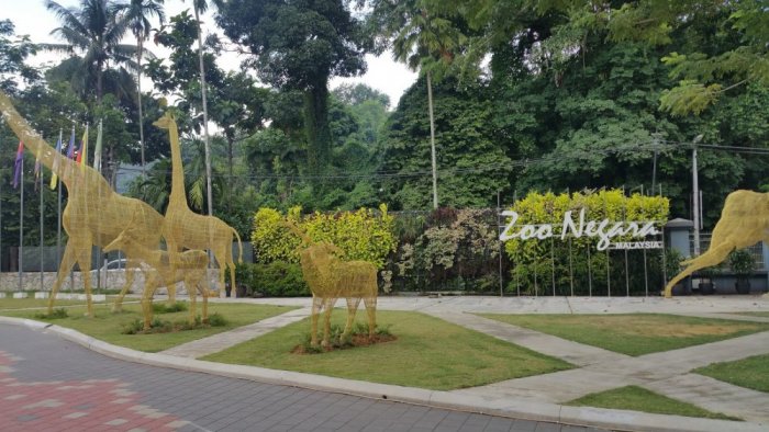 From the Negara Zoo