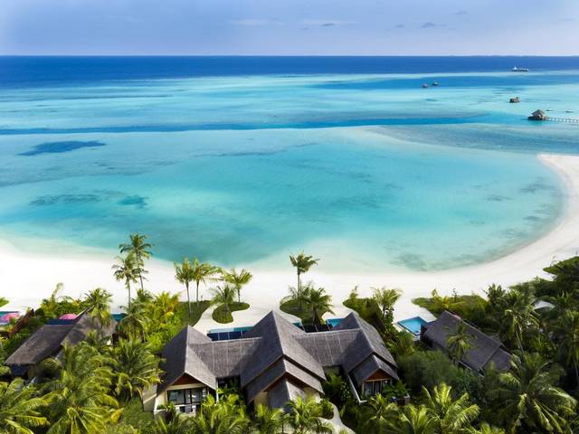 A report on the Niyama Maldives Resort - A report on the Niyama Maldives Resort