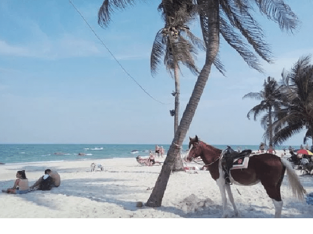 All you need to know about Huahin Thailand - All you need to know about Huahin, Thailand